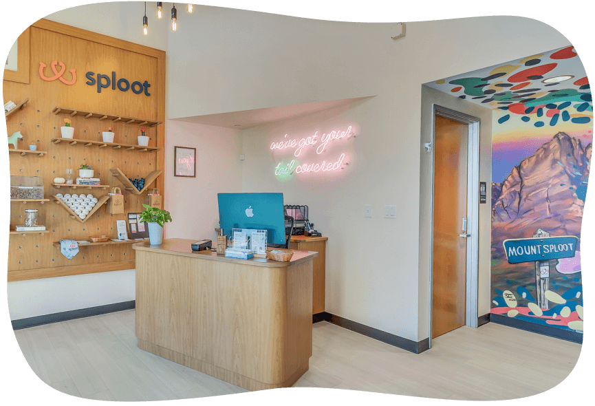 Veterinarian in RiNo, Denver CO Primary & Urgent Care Sploot